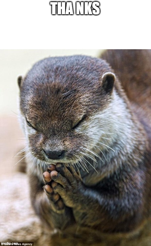 Thank you Lord Otter | THA NKS | image tagged in thank you lord otter | made w/ Imgflip meme maker