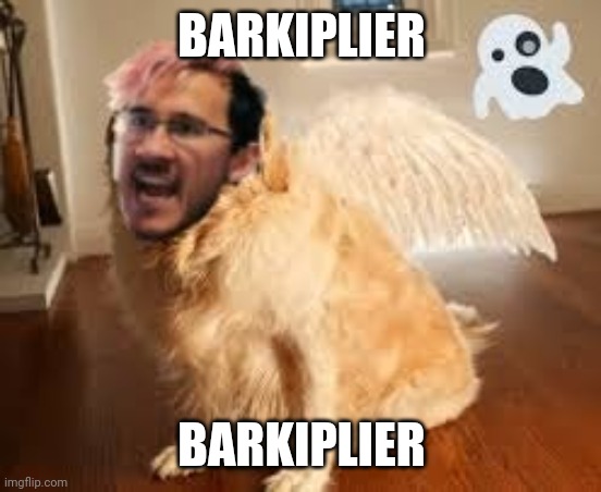 BARKIPLIER BARKIPLIER | made w/ Imgflip meme maker