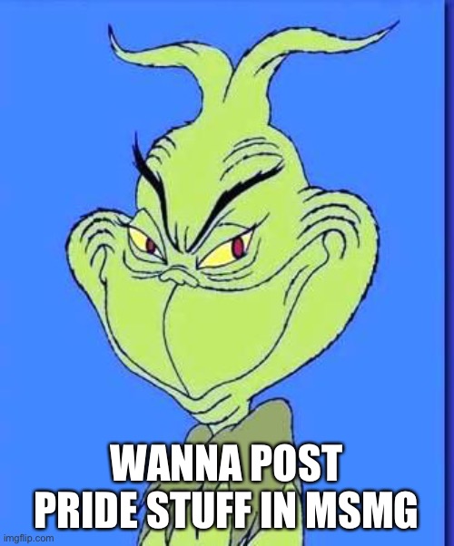 I feel like pissing off some homophobes | WANNA POST PRIDE STUFF IN MSMG | image tagged in good grinch | made w/ Imgflip meme maker