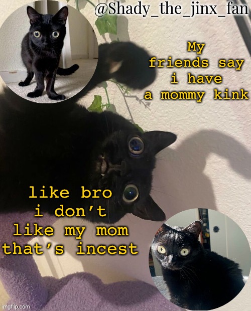(/j) | My friends say i have a mommy kink; like bro i don’t like my mom that’s incest | image tagged in shady s jinx temp once agaun thanks ishowsun | made w/ Imgflip meme maker