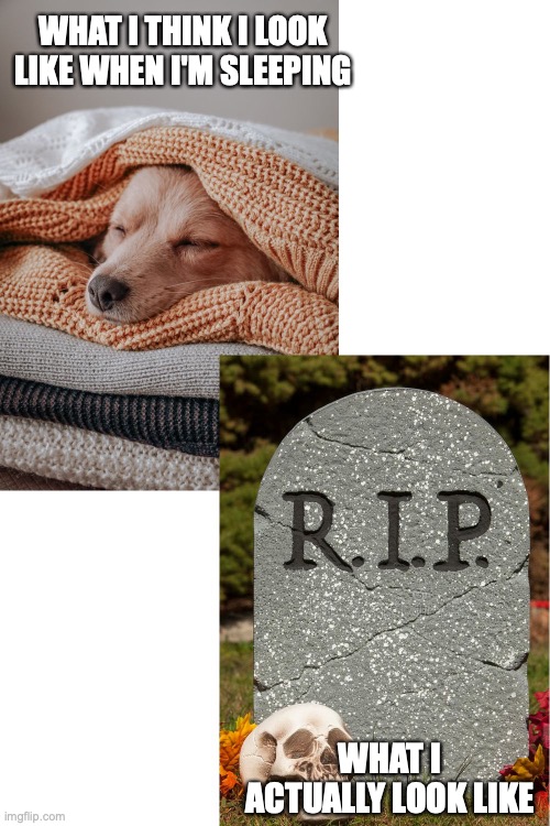 dog no live no more? | WHAT I THINK I LOOK LIKE WHEN I'M SLEEPING; WHAT I ACTUALLY LOOK LIKE | image tagged in dog,dead,death,grave,gravestone,sleeping | made w/ Imgflip meme maker
