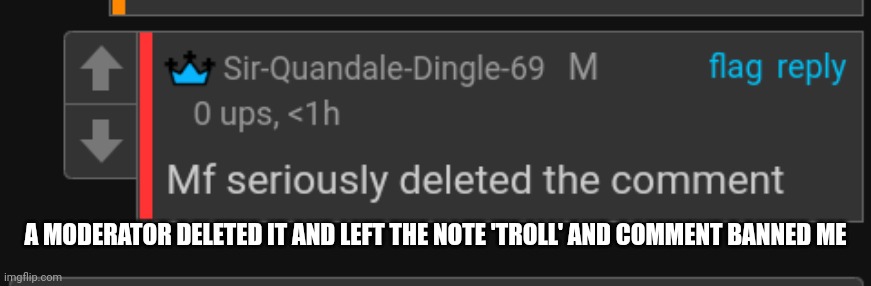 A MODERATOR DELETED IT AND LEFT THE NOTE 'TROLL' AND COMMENT BANNED ME | made w/ Imgflip meme maker