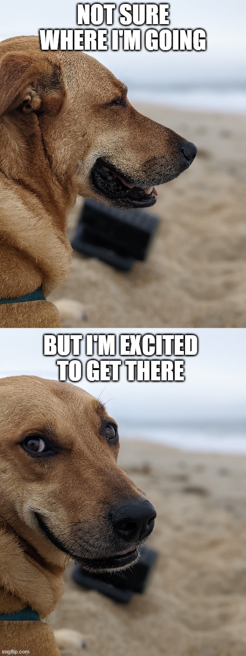 positive outlook dog | NOT SURE WHERE I'M GOING; BUT I'M EXCITED TO GET THERE | image tagged in memes | made w/ Imgflip meme maker