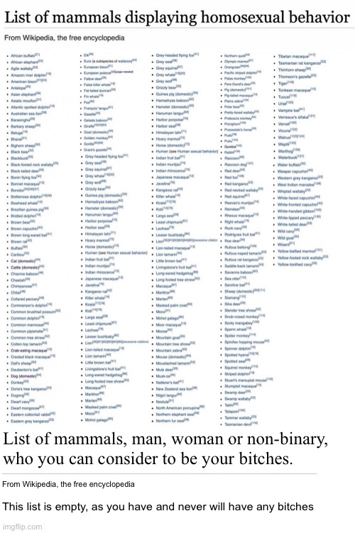 You never will |  List of mammals, man, woman or non-binary, who you can consider to be your bitches. ______________________________________; From Wikipedia, the free encyclopedia; This list is empty, as you have and never will have any bitches | image tagged in bitches,no bitches,wikipedia,memes,funny | made w/ Imgflip meme maker