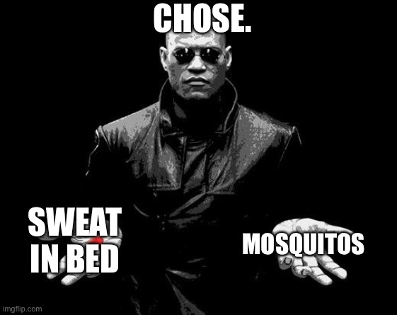 Matrix Morpheus Offer | CHOSE. MOSQUITOS; SWEAT IN BED | image tagged in matrix morpheus offer | made w/ Imgflip meme maker