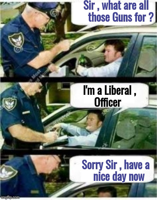 A summary of recent events |  Sir , what are all   
those Guns for ? I'm a Liberal ,        
Officer; Sorry Sir , have a 
nice day now | image tagged in police reserved parking,liberal privelige,invincible,how dare you,justice,well yes but actually no | made w/ Imgflip meme maker