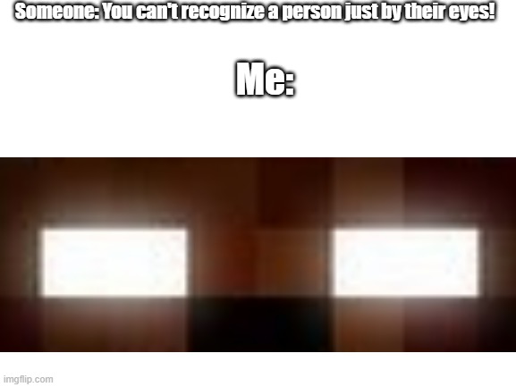 If you know, you know! | Someone: You can't recognize a person just by their eyes! Me: | image tagged in herobrine,minecraft | made w/ Imgflip meme maker