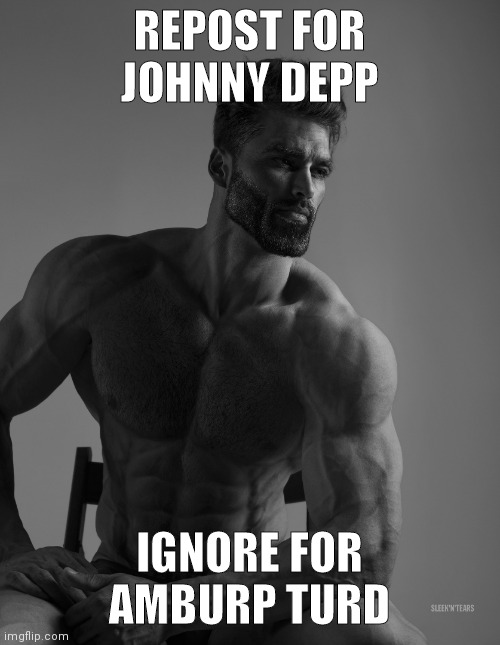 Giga Chad | REPOST FOR JOHNNY DEPP; IGNORE FOR AMBURP TURD | image tagged in giga chad | made w/ Imgflip meme maker