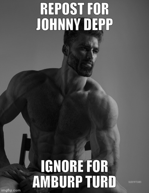 Giga Chad | REPOST FOR JOHNNY DEPP; IGNORE FOR AMBURP TURD | image tagged in giga chad | made w/ Imgflip meme maker