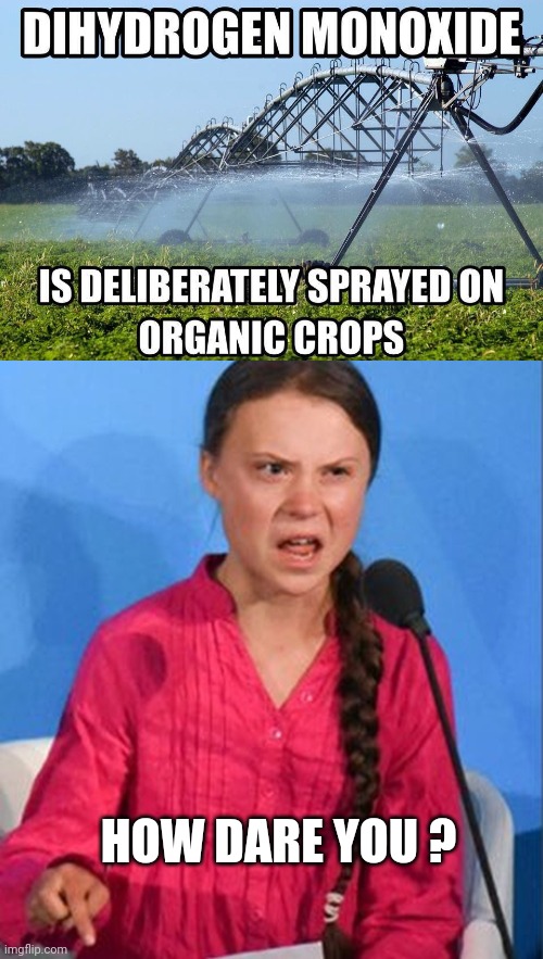 HOW DARE YOU ? | image tagged in greta thunberg how dare you | made w/ Imgflip meme maker