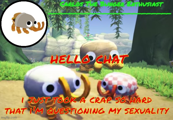 balls | hello chat; i just took a crap so hard that i'm questioning my sexuality | made w/ Imgflip meme maker