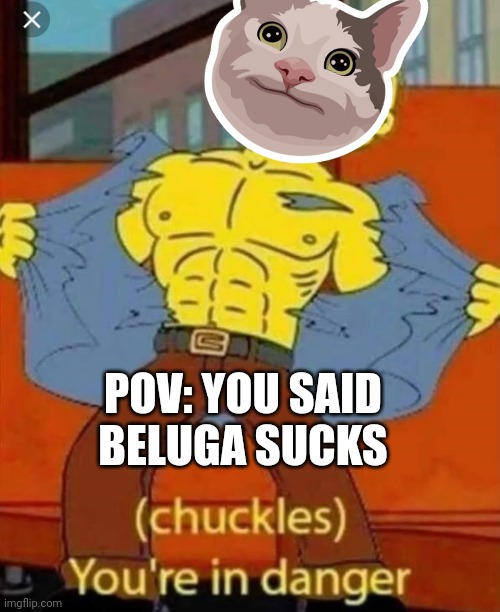 To beluga haters out there | POV: YOU SAID BELUGA SUCKS | image tagged in your in danger,polite,beluga | made w/ Imgflip meme maker