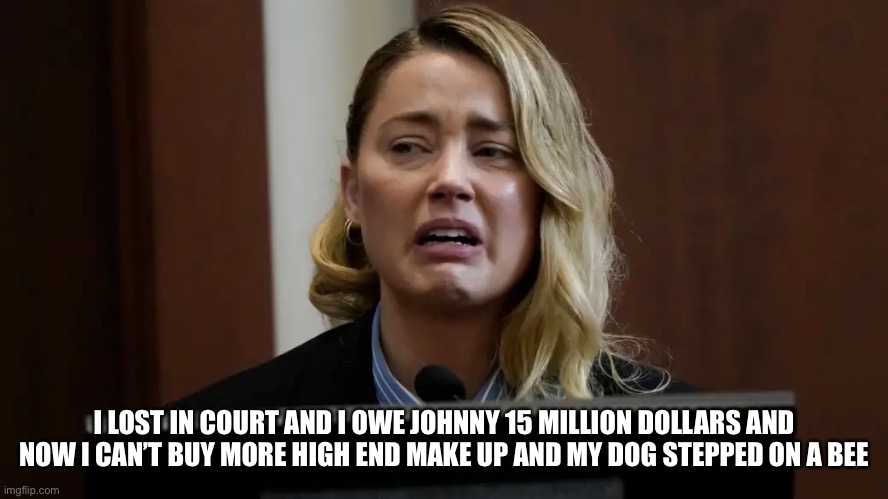 I LOST IN COURT AND I OWE JOHNNY 15 MILLION DOLLARS AND NOW I CAN’T BUY MORE HIGH END MAKE UP AND MY DOG STEPPED ON A BEE | image tagged in amber heard | made w/ Imgflip meme maker