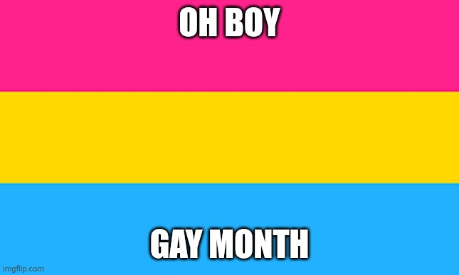 pan flag | OH BOY; GAY MONTH | image tagged in pan flag | made w/ Imgflip meme maker