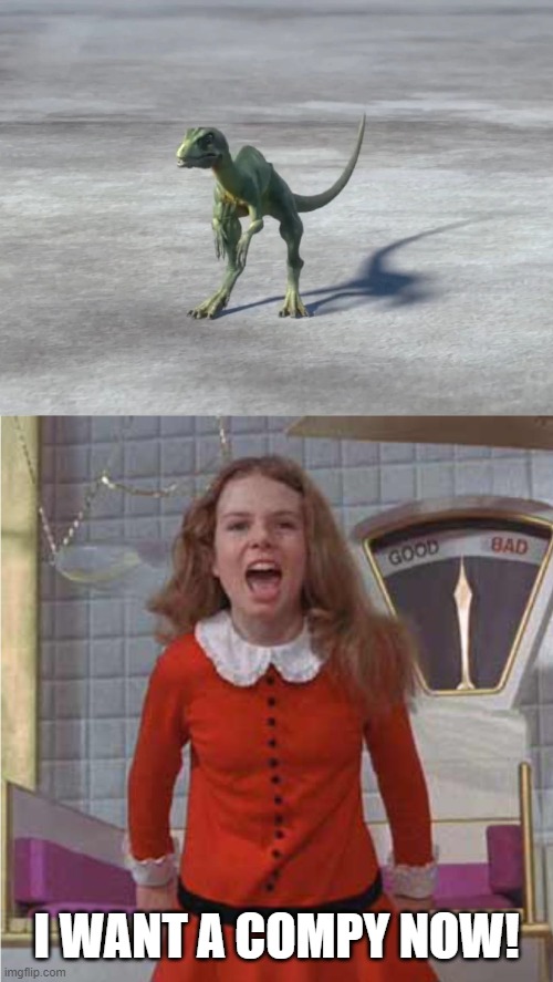 Veruca Salt Wants a Compy |  I WANT A COMPY NOW! | image tagged in veruca salt,willy wonka,jurassic park,jurassic world | made w/ Imgflip meme maker