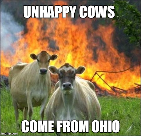 Evil Cows Meme | UNHAPPY COWS COME FROM OHIO | image tagged in memes,evil cows | made w/ Imgflip meme maker