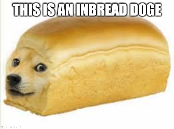 Doge bread | THIS IS AN INBREAD DOGE | image tagged in doge bread | made w/ Imgflip meme maker