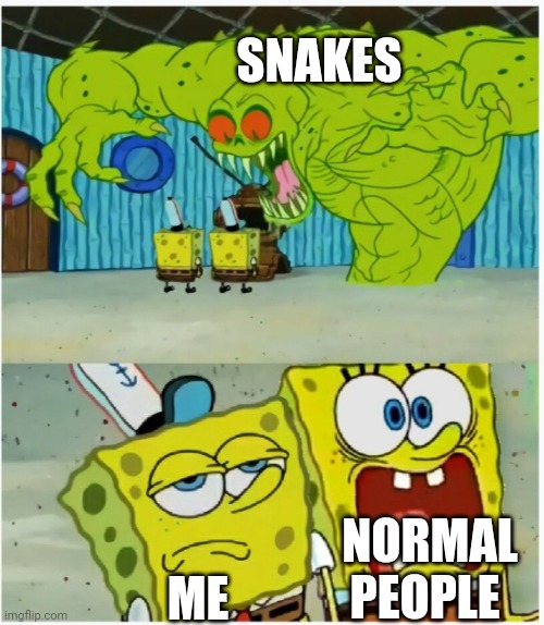 I love snakes, when I was 8 years old, I got to meet some snakes at school, everyone else was scared, but I enjoyed touching the |  SNAKES; NORMAL PEOPLE; ME | image tagged in spongebob squarepants scared but also not scared,snake,snek | made w/ Imgflip meme maker