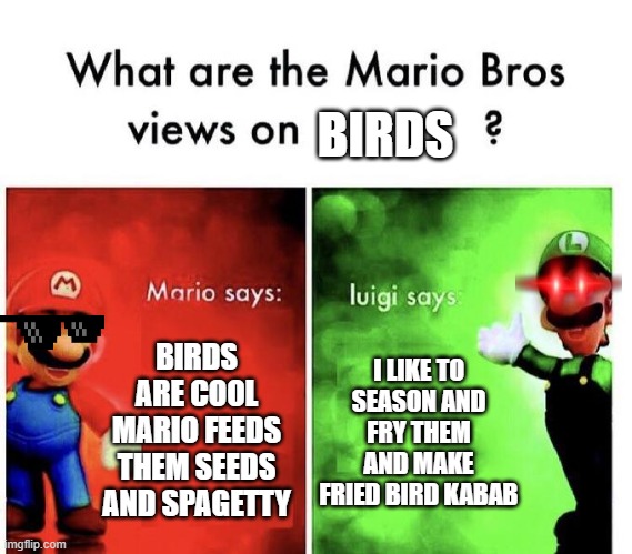 do not eat birb birb is friend | BIRDS; BIRDS ARE COOL MARIO FEEDS THEM SEEDS AND SPAGETTY; I LIKE TO SEASON AND FRY THEM AND MAKE FRIED BIRD KABAB | image tagged in mario bros views | made w/ Imgflip meme maker