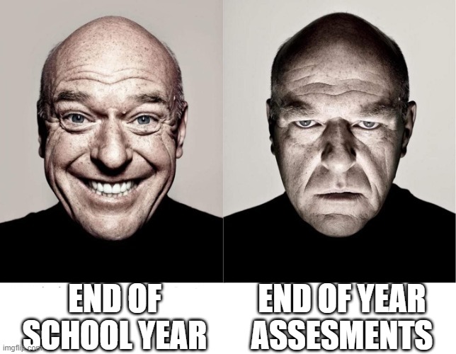 im so gonna fail lmao | END OF SCHOOL YEAR; END OF YEAR ASSESMENTS | image tagged in school,breaking bad | made w/ Imgflip meme maker