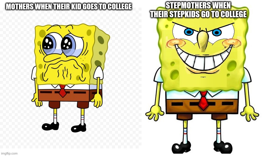 College memes | image tagged in spongebob squarepants | made w/ Imgflip meme maker