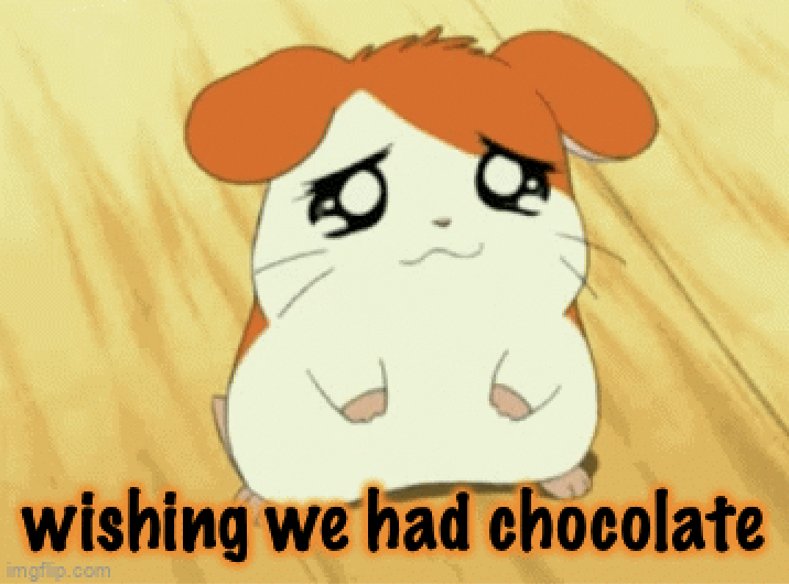 sad hamtaro wants chocolate Blank Meme Template