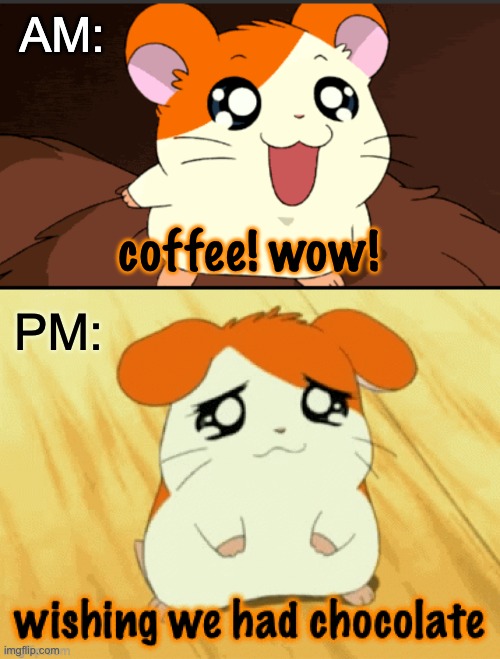 My hamster day |  AM:; coffee! wow! PM: | image tagged in sad hamtaro wants chocolate,morning,afternoon,chocolate,coffee | made w/ Imgflip meme maker