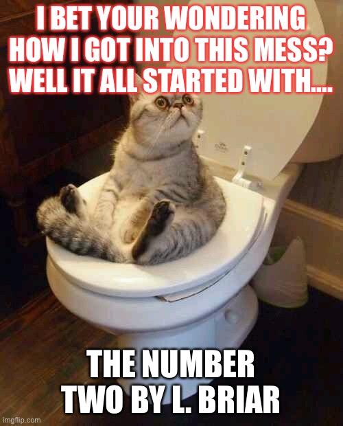 The Number Two & It Can Happen to You too! | I BET YOUR WONDERING HOW I GOT INTO THIS MESS? WELL IT ALL STARTED WITH…. THE NUMBER TWO BY L. BRIAR | image tagged in toilet cat,porcelainreads,funny memes,toilet humor | made w/ Imgflip meme maker