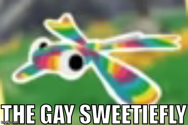 THE GAY SWEETIEFLY | made w/ Imgflip meme maker