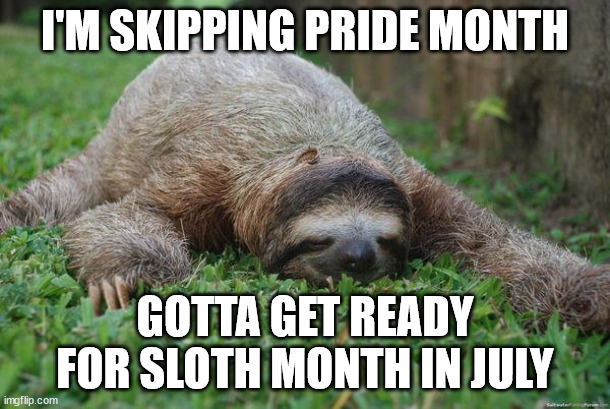 Sloth Month | I'M SKIPPING PRIDE MONTH; GOTTA GET READY FOR SLOTH MONTH IN JULY | image tagged in narcolepsy sloth | made w/ Imgflip meme maker