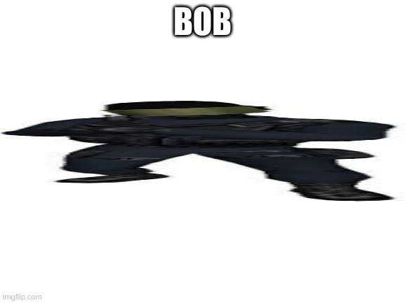 Blank White Template | BOB | image tagged in blank white template | made w/ Imgflip meme maker