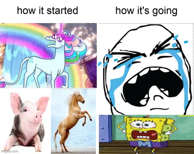 this is a school assignment lol | image tagged in how it started vs how it's going | made w/ Imgflip meme maker