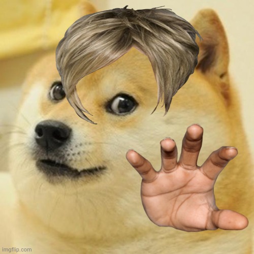 Pov: Your a hairspray | image tagged in memes,doge | made w/ Imgflip meme maker