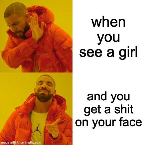 Uhh | when you see a girl; and you get a shit on your face | image tagged in memes,drake hotline bling,autogenerated | made w/ Imgflip meme maker