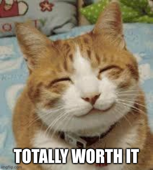 Happy cat | TOTALLY WORTH IT | image tagged in happy cat | made w/ Imgflip meme maker