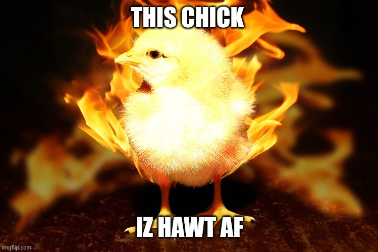The hottest chick of all time, am I right | image tagged in chicken,puns | made w/ Imgflip meme maker