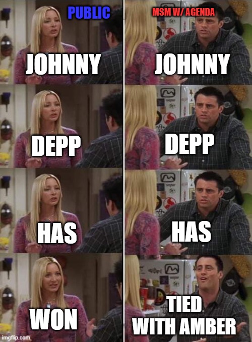 Phoebe teaching Joey in Friends | MSM W/ AGENDA; PUBLIC; JOHNNY; JOHNNY; DEPP; DEPP; HAS; HAS; TIED WITH AMBER; WON | image tagged in phoebe teaching joey in friends | made w/ Imgflip meme maker
