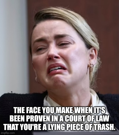 Yes!  Justice prevails! |  THE FACE YOU MAKE WHEN IT'S BEEN PROVEN IN A COURT OF LAW THAT YOU'RE A LYING PIECE OF TRASH. | image tagged in turd | made w/ Imgflip meme maker