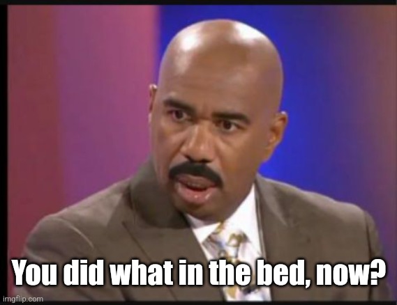 Steve Harvey that face when | You did what in the bed, now? | image tagged in steve harvey that face when | made w/ Imgflip meme maker