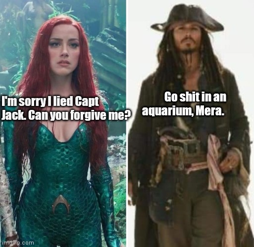 Capt Jack vs Mera | Go shit in an aquarium, Mera. I'm sorry I lied Capt Jack. Can you forgive me? | image tagged in funny | made w/ Imgflip meme maker