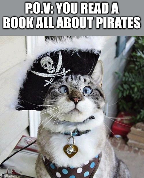 Spangles Meme | P.O.V: YOU READ A BOOK ALL ABOUT PIRATES | image tagged in memes,spangles | made w/ Imgflip meme maker