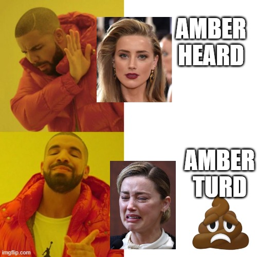 Johnny WINS !!! | AMBER HEARD; AMBER TURD | image tagged in drake blank,amber heard,johnny depp,justice,courtroom | made w/ Imgflip meme maker