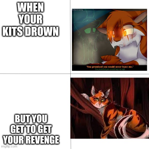 maple shade | WHEN YOUR KITS DROWN; BUT YOU GET TO GET YOUR REVENGE | image tagged in warrior cats | made w/ Imgflip meme maker