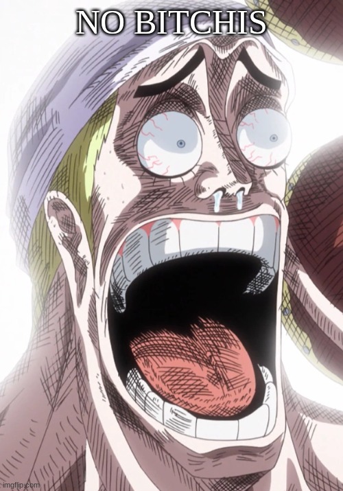 One Piece Enel Shocked | NO BITCHIS | image tagged in one piece enel shocked | made w/ Imgflip meme maker