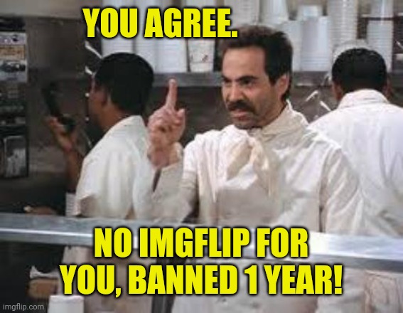 No soup | YOU AGREE. NO IMGFLIP FOR YOU, BANNED 1 YEAR! | image tagged in no soup | made w/ Imgflip meme maker