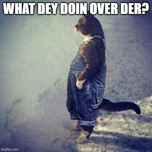 Cat Wearing Overalls | WHAT DEY DOIN OVER DER? | image tagged in cat wearing overalls | made w/ Imgflip meme maker