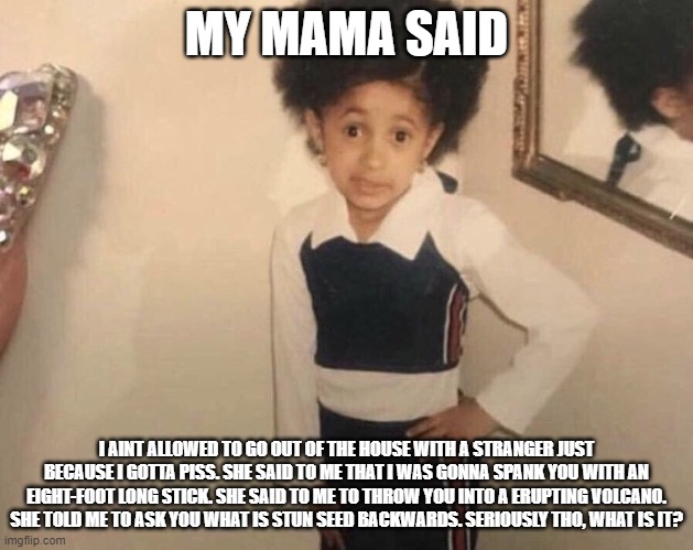 My Momma Said | MY MAMA SAID; I AINT ALLOWED TO GO OUT OF THE HOUSE WITH A STRANGER JUST BECAUSE I GOTTA PISS. SHE SAID TO ME THAT I WAS GONNA SPANK YOU WITH AN EIGHT-FOOT LONG STICK. SHE SAID TO ME TO THROW YOU INTO A ERUPTING VOLCANO. SHE TOLD ME TO ASK YOU WHAT IS STUN SEED BACKWARDS. SERIOUSLY THO, WHAT IS IT? | image tagged in my momma said | made w/ Imgflip meme maker