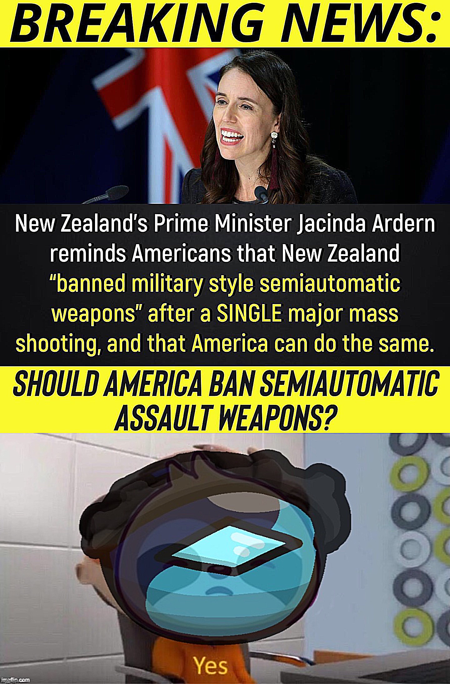 image tagged in jacinda ardern on guns,sloth liberal technocracy yes | made w/ Imgflip meme maker