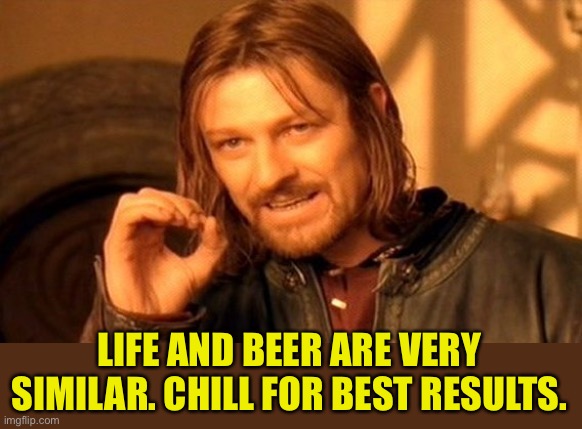 Life and Beer | LIFE AND BEER ARE VERY SIMILAR. CHILL FOR BEST RESULTS. | image tagged in memes,one does not simply,life,beer,chill out,best result | made w/ Imgflip meme maker
