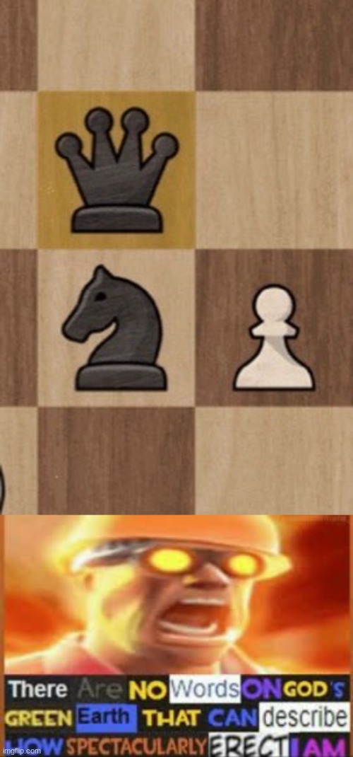 Those Moments | image tagged in chess,erection | made w/ Imgflip meme maker